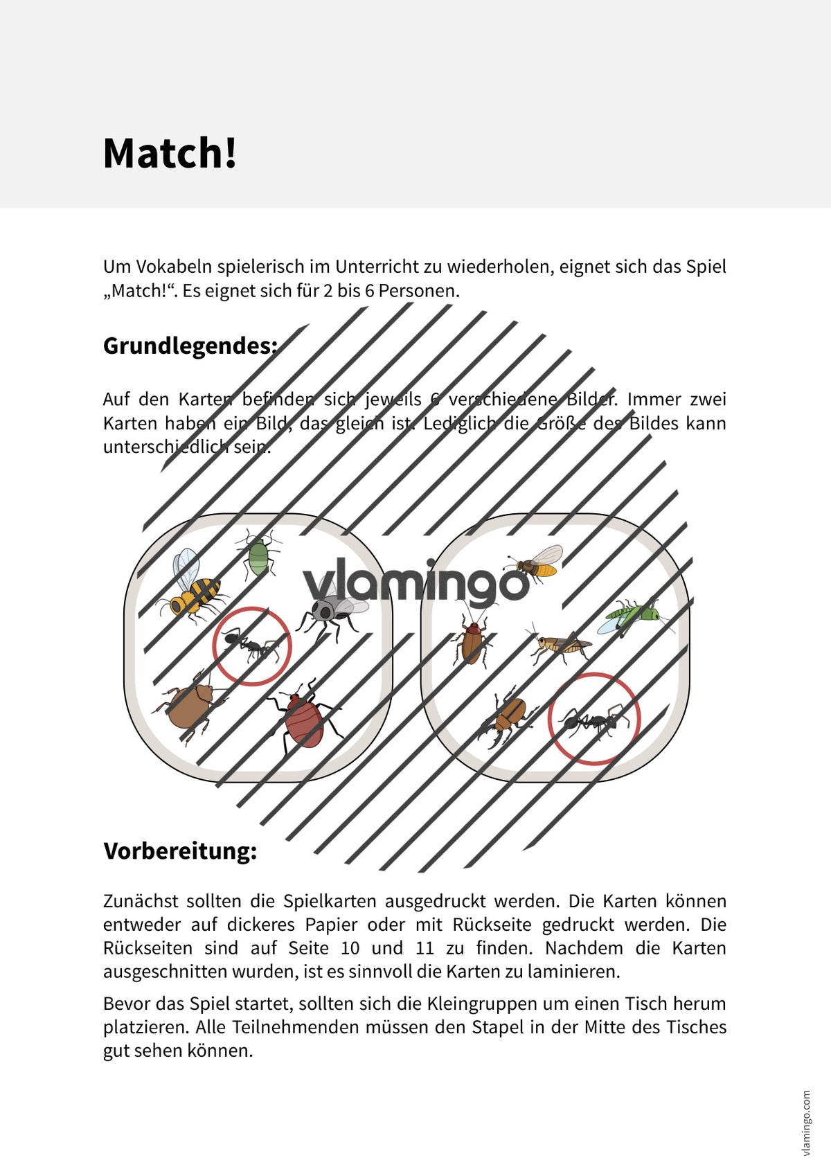 de englisch insects match 002