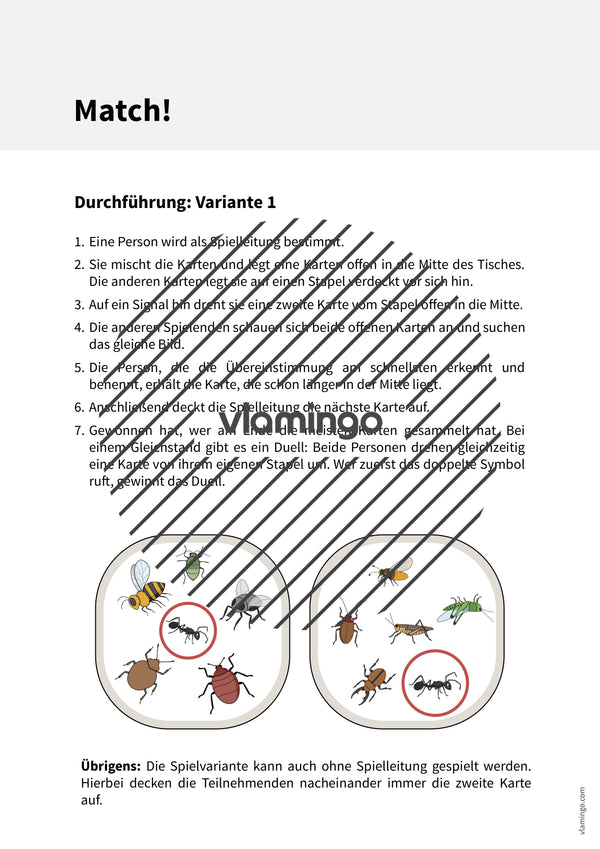 de englisch insects match 003
