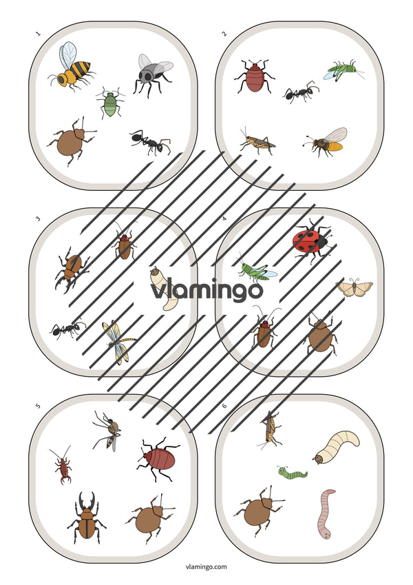 de englisch insects match 005