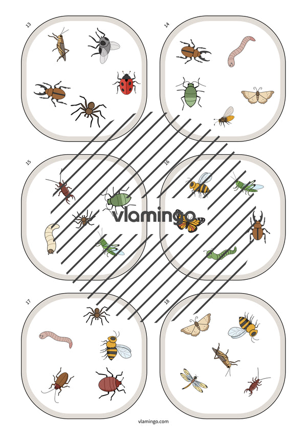 de englisch insects match 007