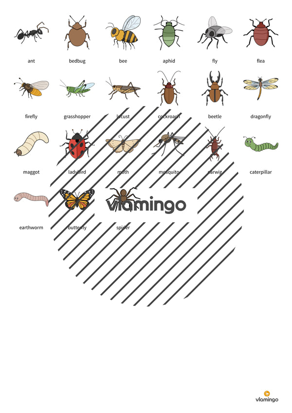 de englisch insects match 011