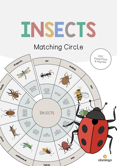 Insects / Insekten: Matching Circle (Englisch)