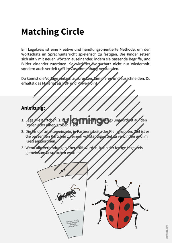 de englisch insects matching circle 002