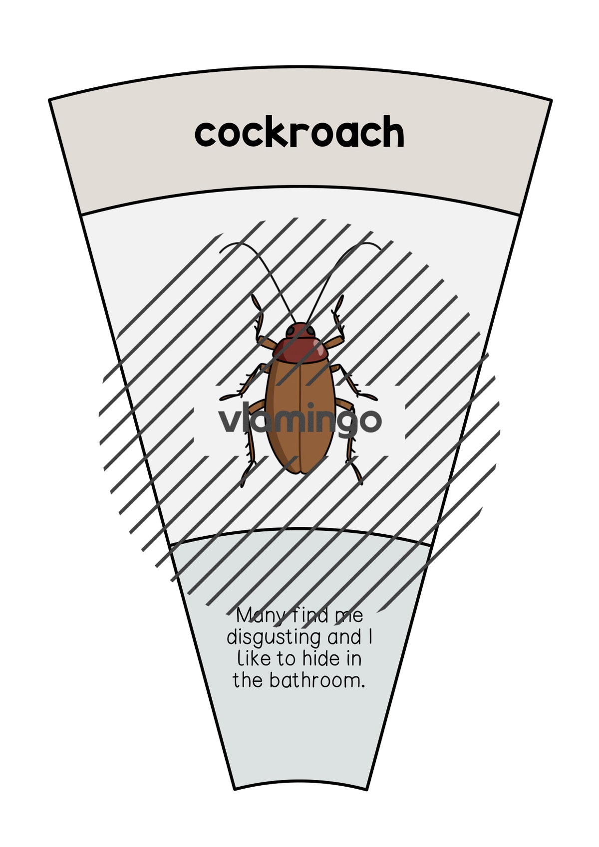 de englisch insects matching circle 013