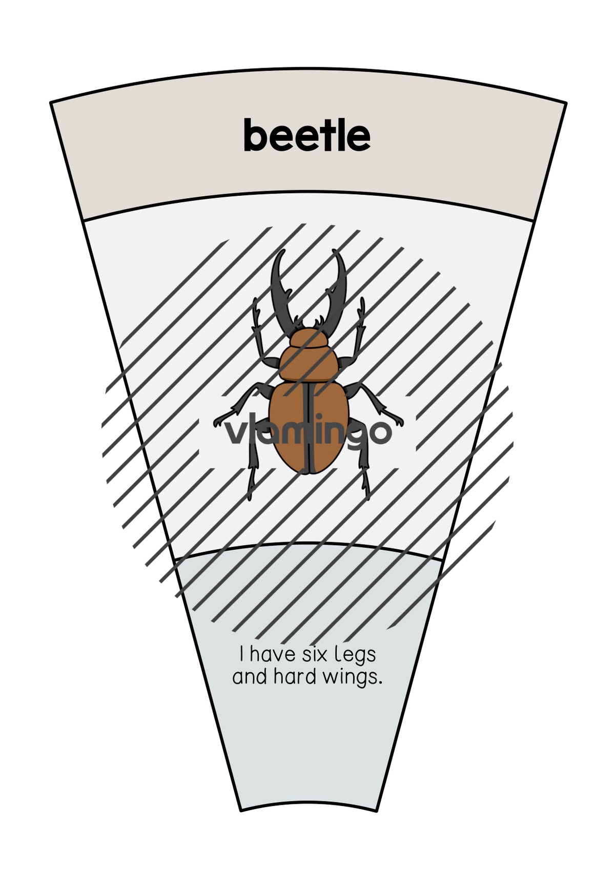 de englisch insects matching circle 014