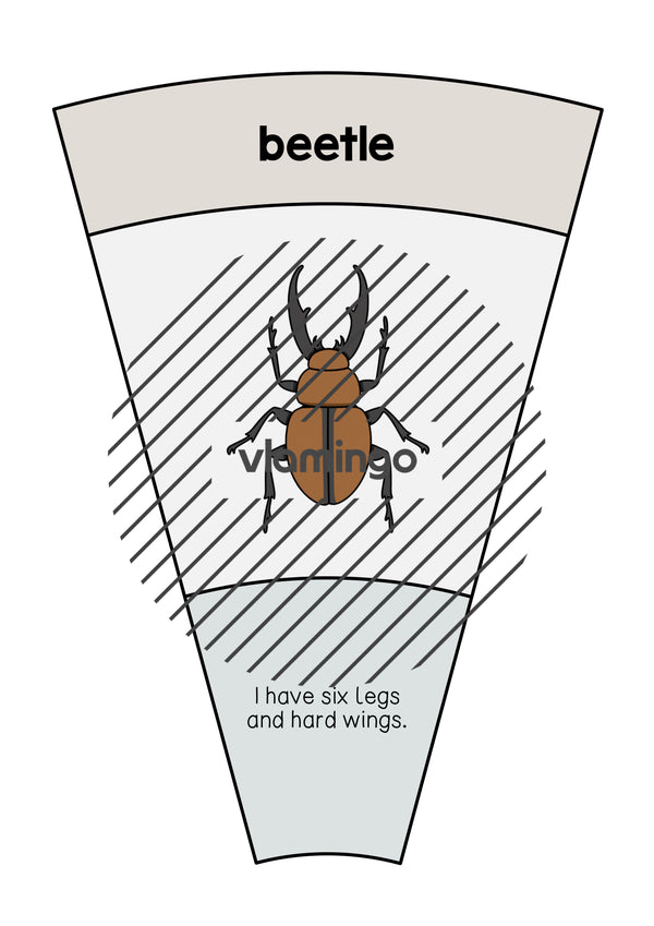 de englisch insects matching circle 014