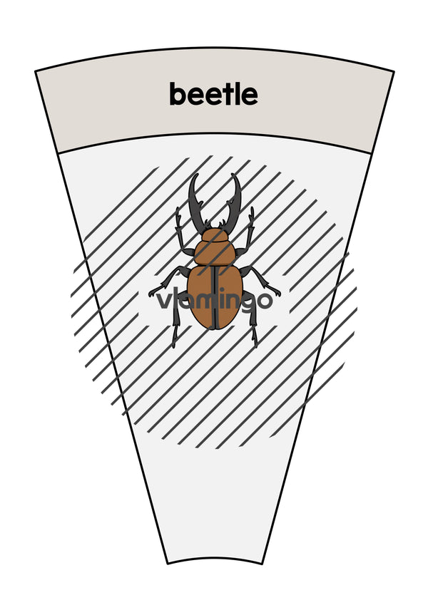 de englisch insects matching circle 028