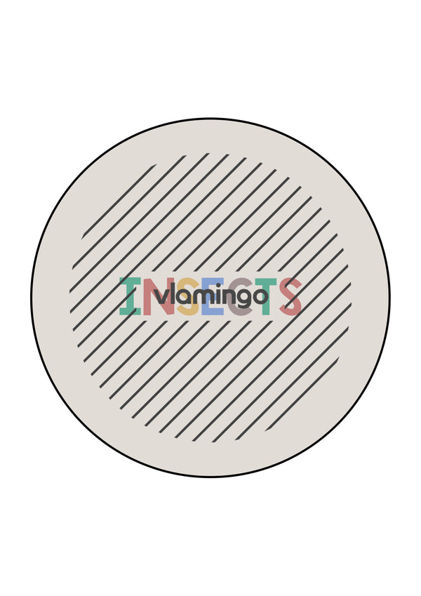 de englisch insects matching circle 030