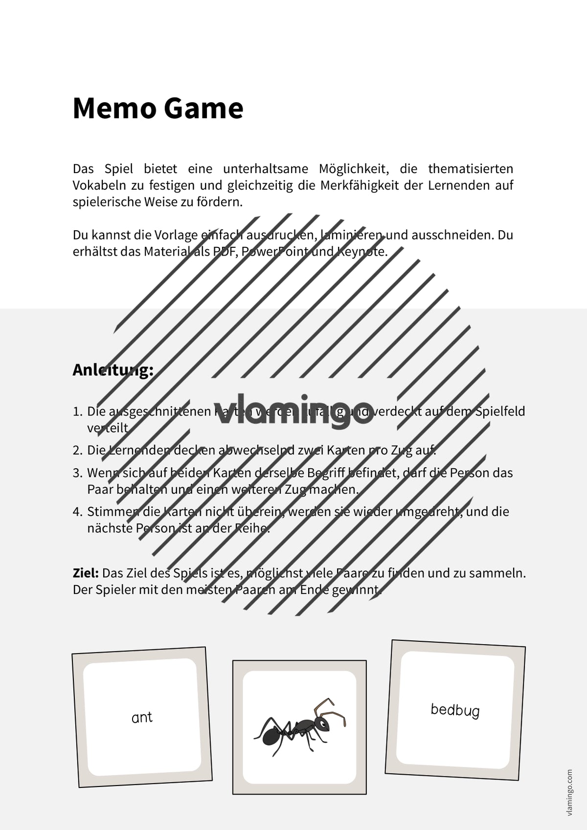 de englisch insects memo game 002