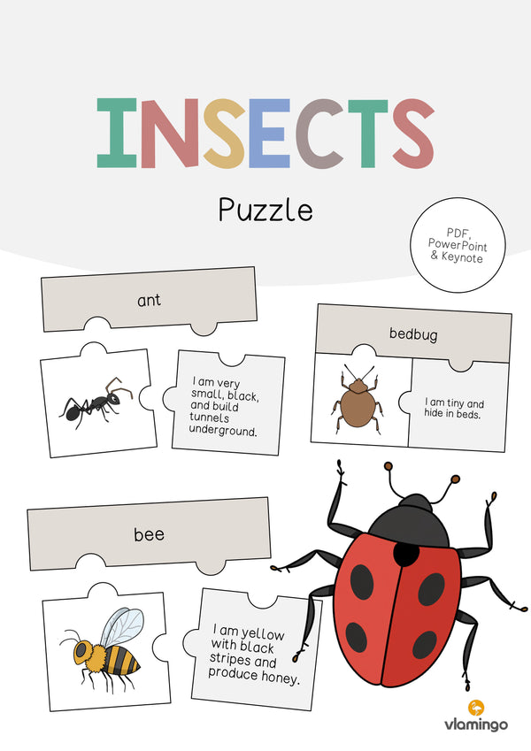 de englisch insects puzzle 001