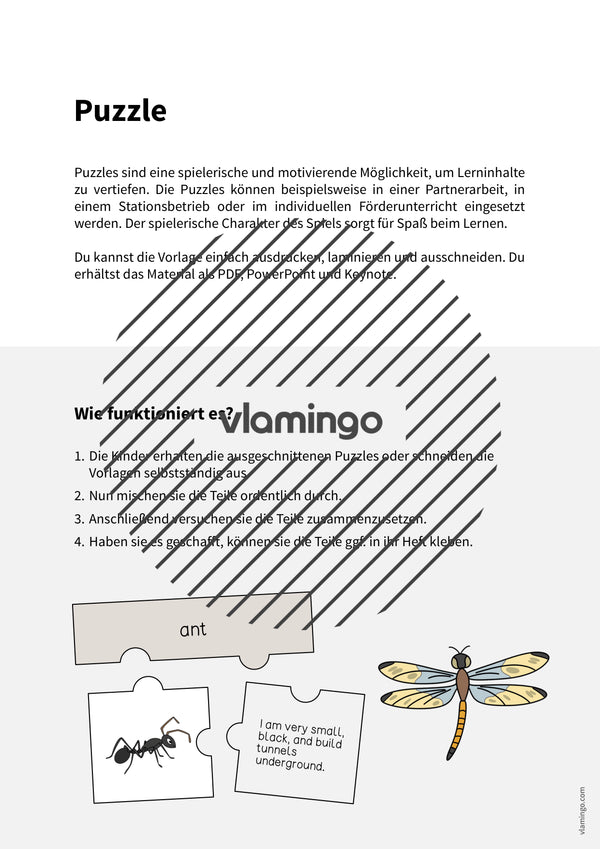 de englisch insects puzzle 002