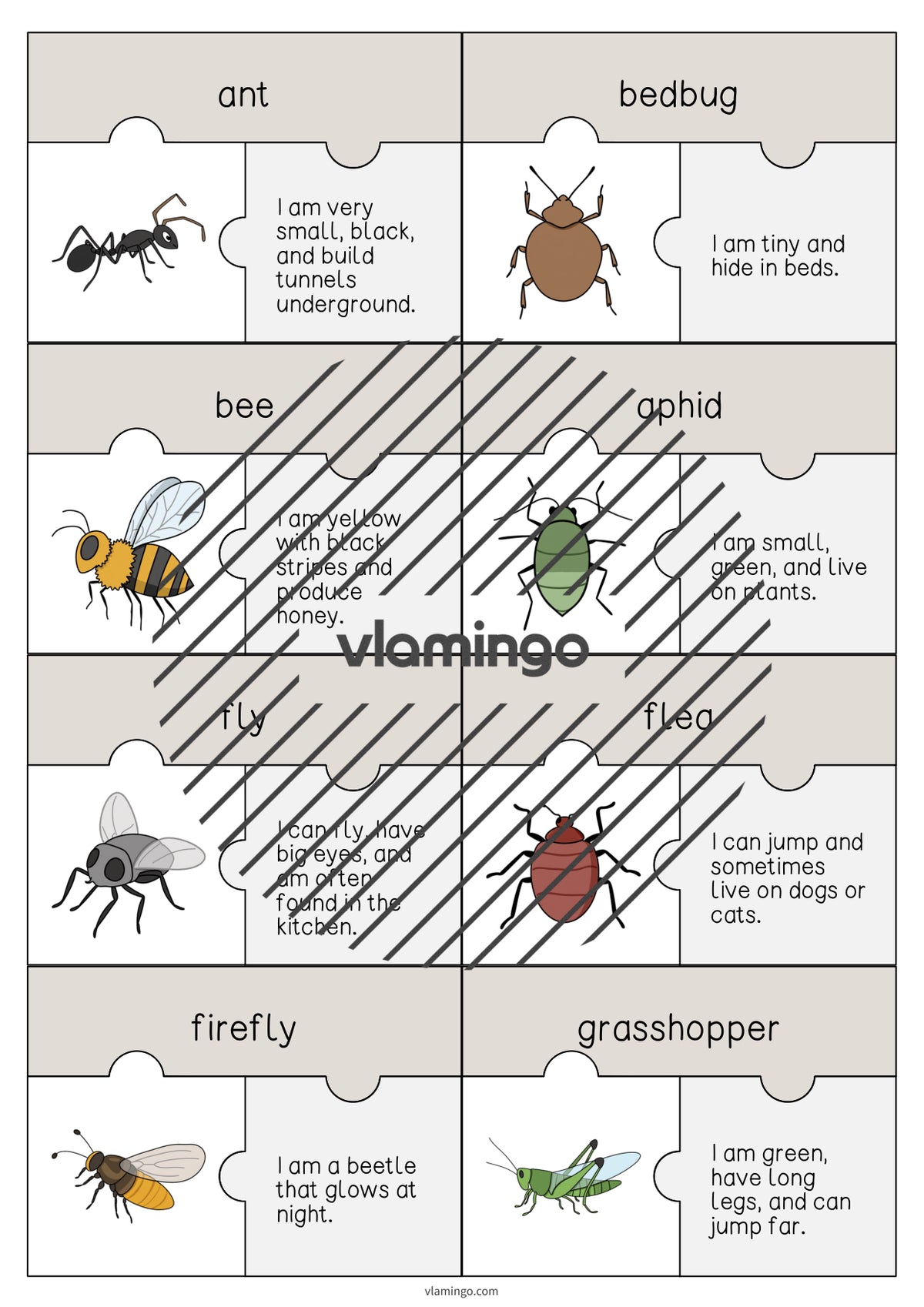 de englisch insects puzzle 003