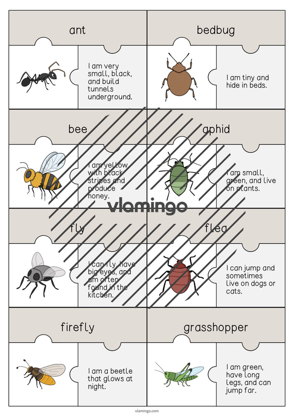 de englisch insects puzzle 003