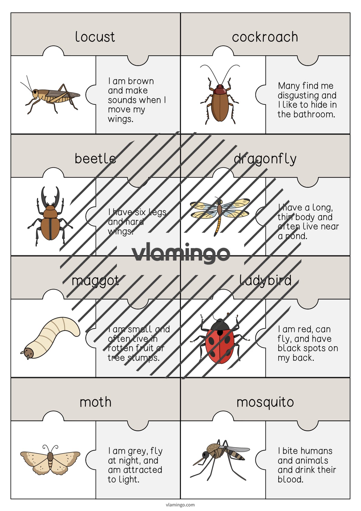 de englisch insects puzzle 004