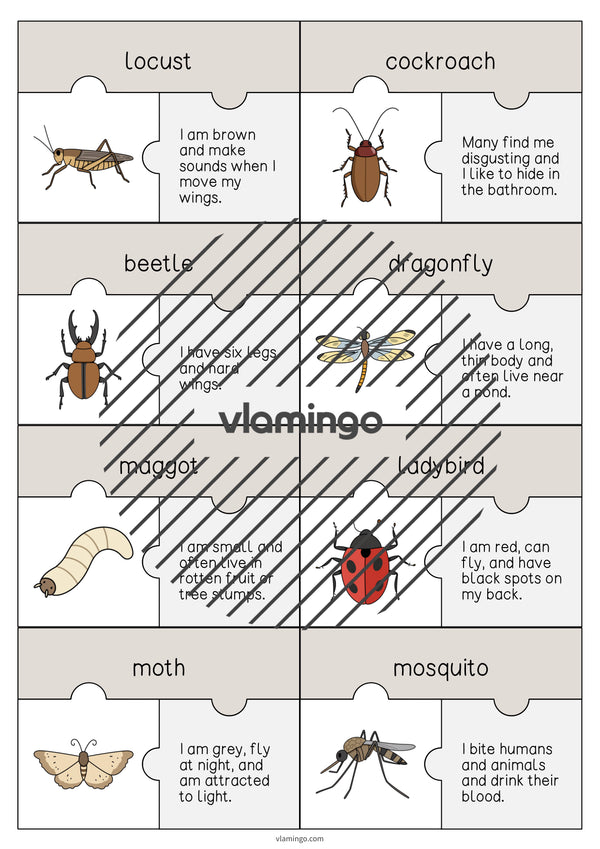 de englisch insects puzzle 004