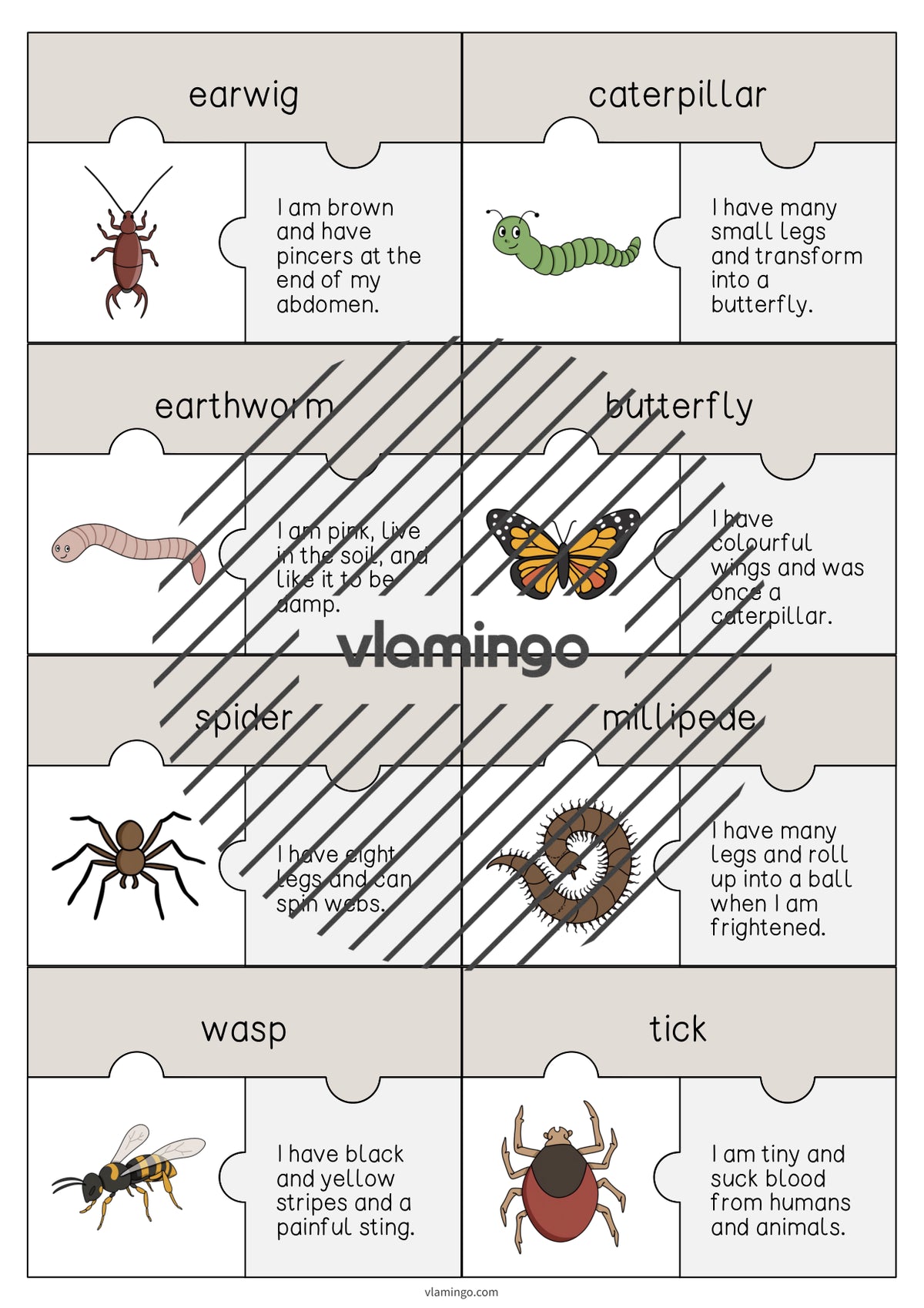 de englisch insects puzzle 005