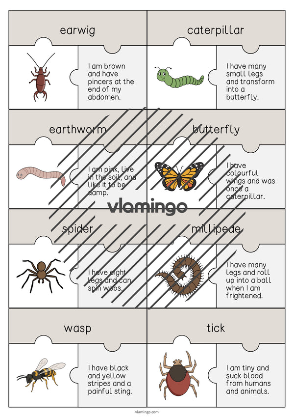 de englisch insects puzzle 005