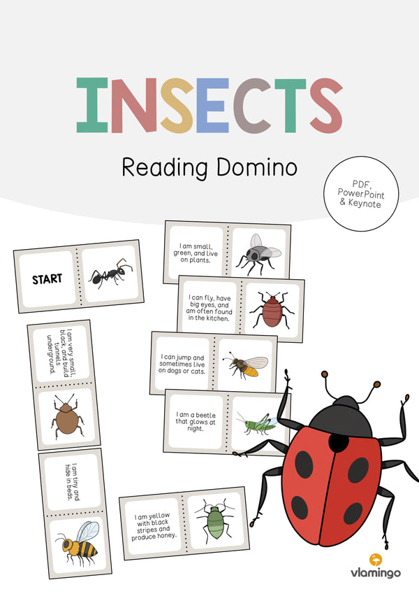 de englisch insects reading domino 001