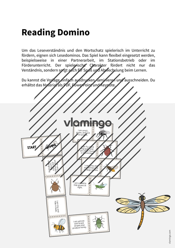 de englisch insects reading domino 002