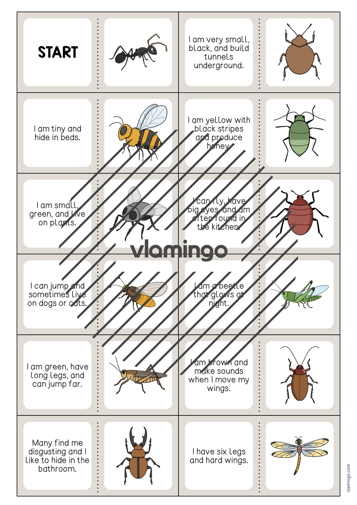 de englisch insects reading domino 003