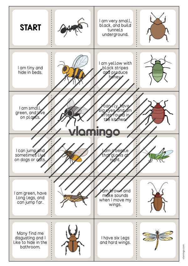 de englisch insects reading domino 003