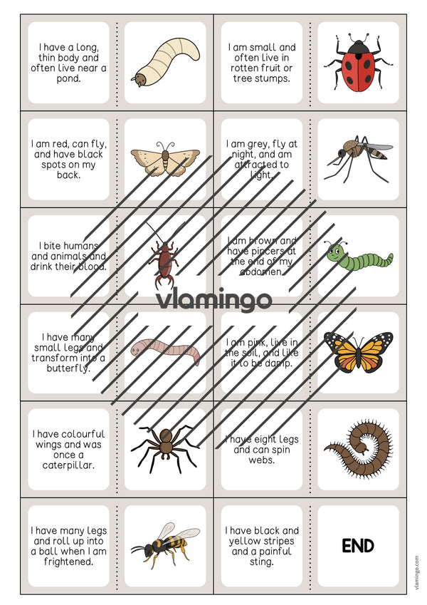 de englisch insects reading domino 004