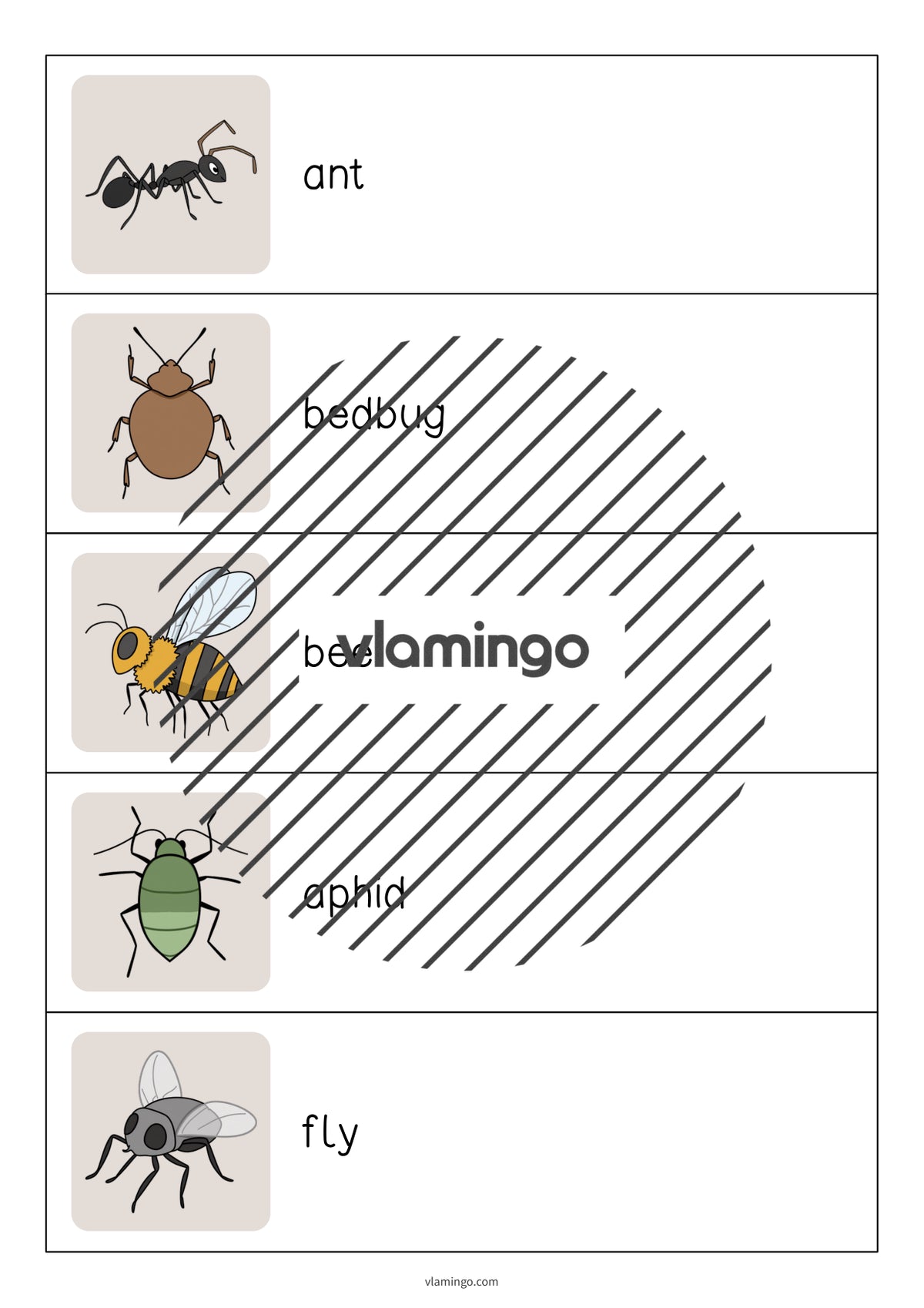de englisch insects running dictation 003