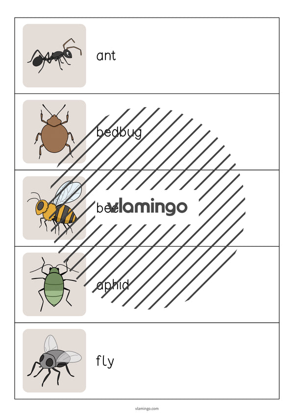 de englisch insects running dictation 003