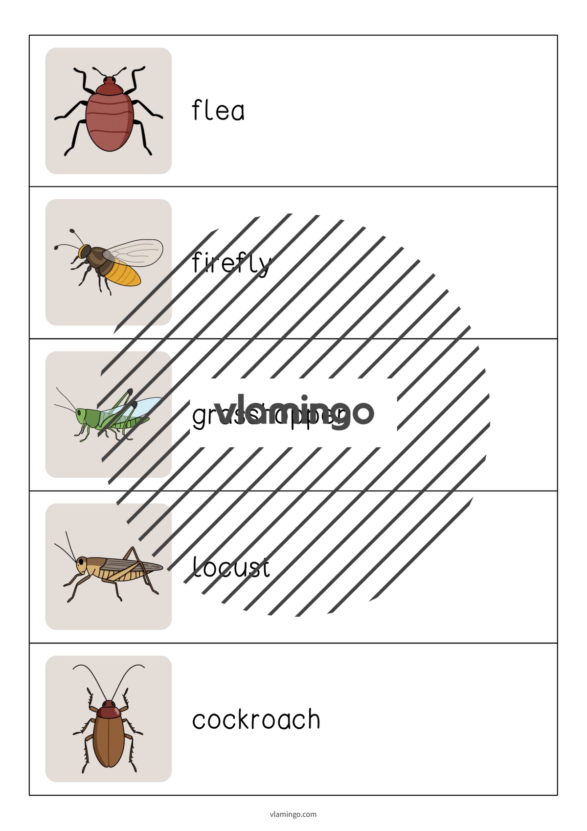 de englisch insects running dictation 004