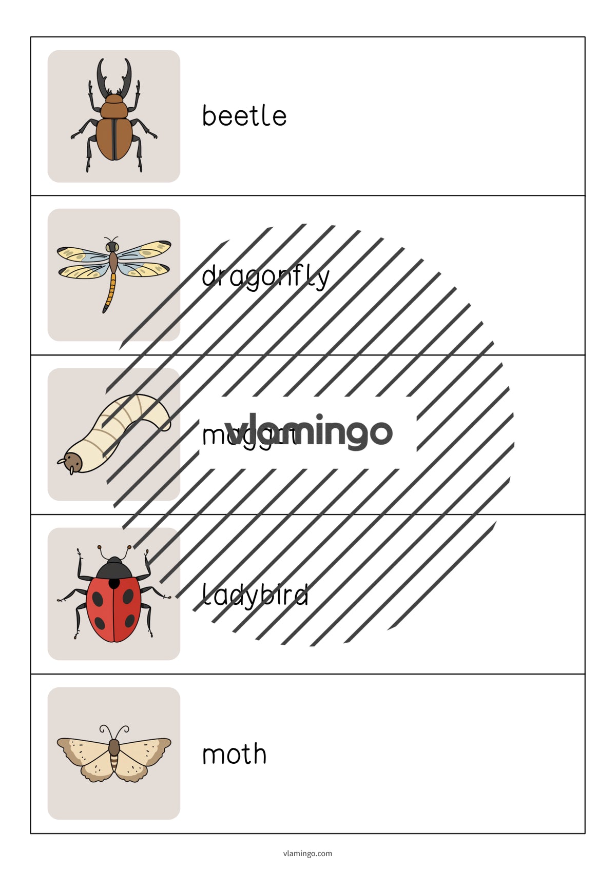 de englisch insects running dictation 005
