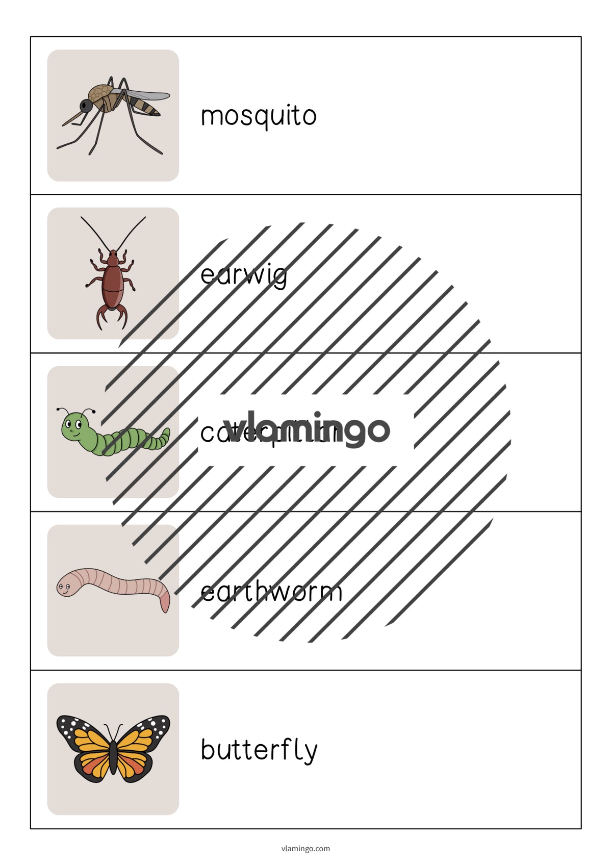 de englisch insects running dictation 006