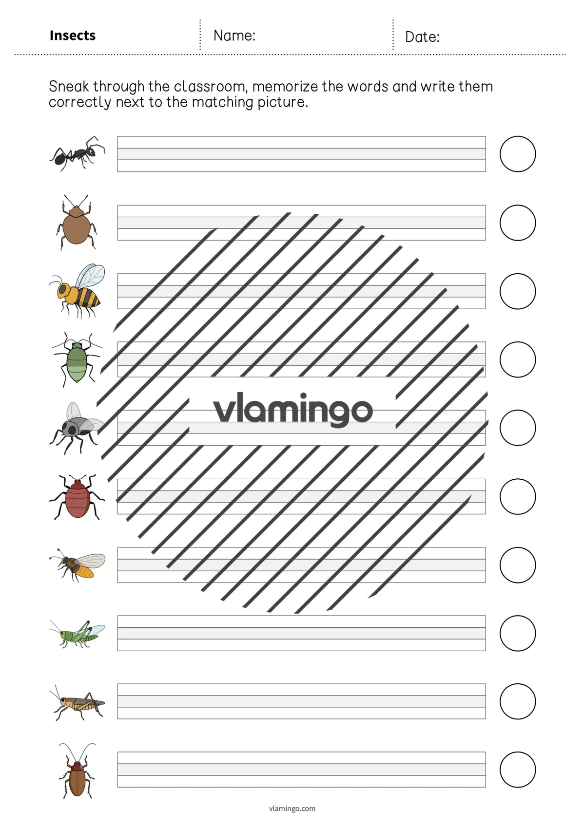 de englisch insects running dictation 007