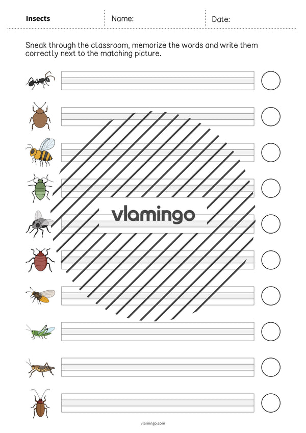 de englisch insects running dictation 007