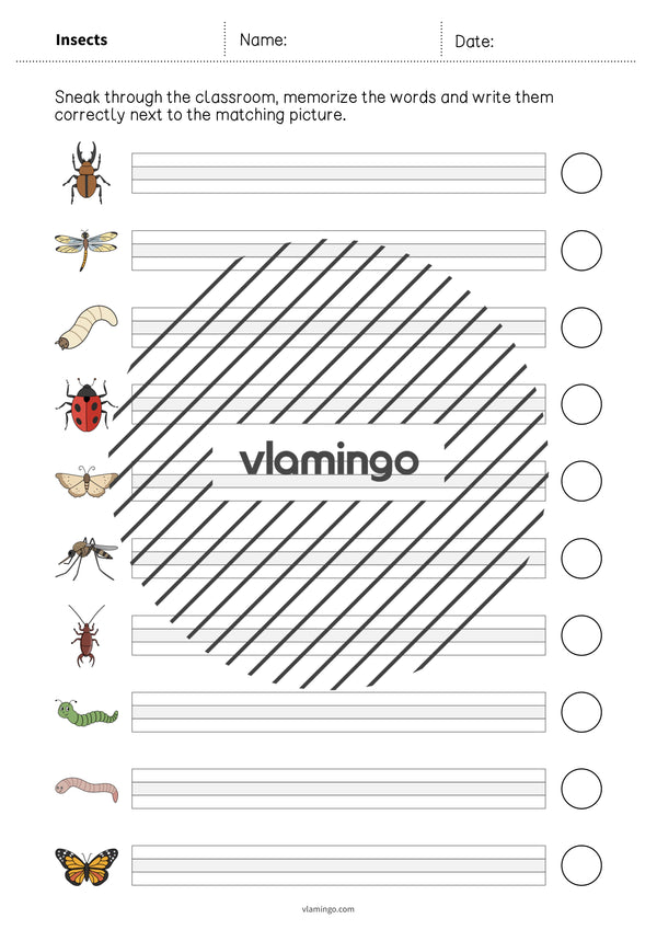 de englisch insects running dictation 008