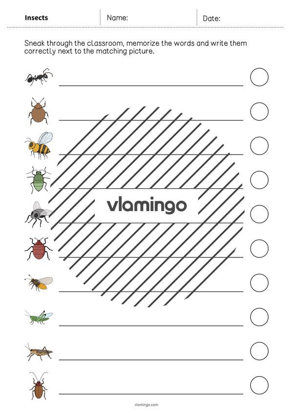 de englisch insects running dictation 009