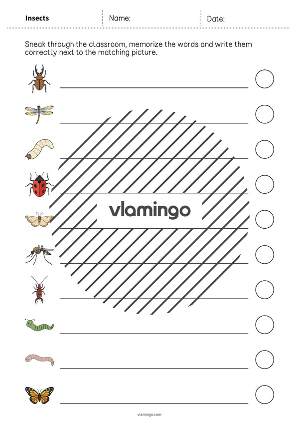 de englisch insects running dictation 010