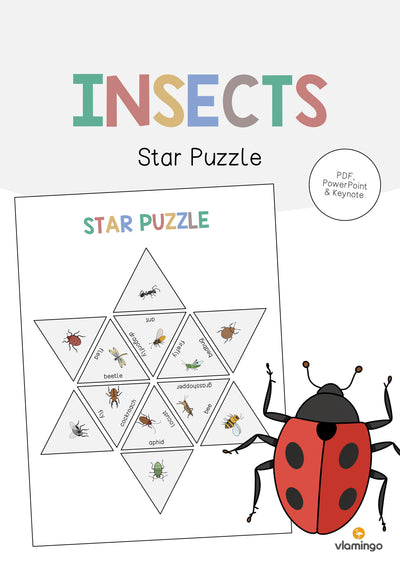 Insects / Insekten: Star Puzzle (Englisch)