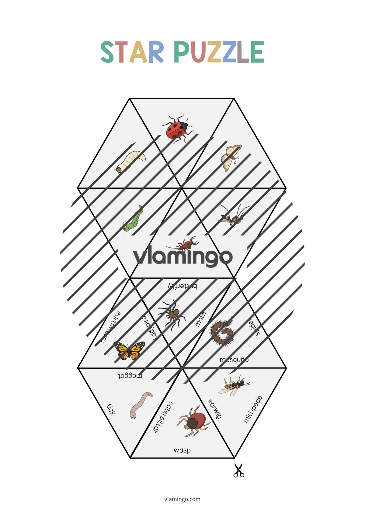 de englisch insects star puzzle 005
