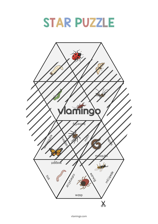 de englisch insects star puzzle 005