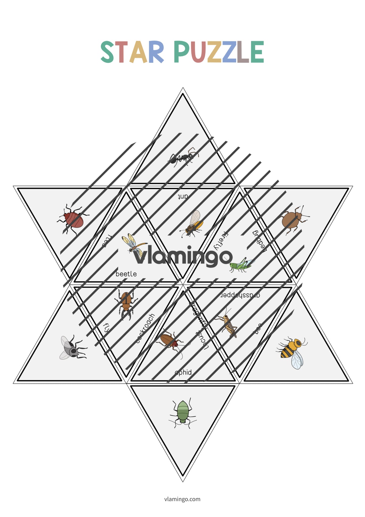 de englisch insects star puzzle 008