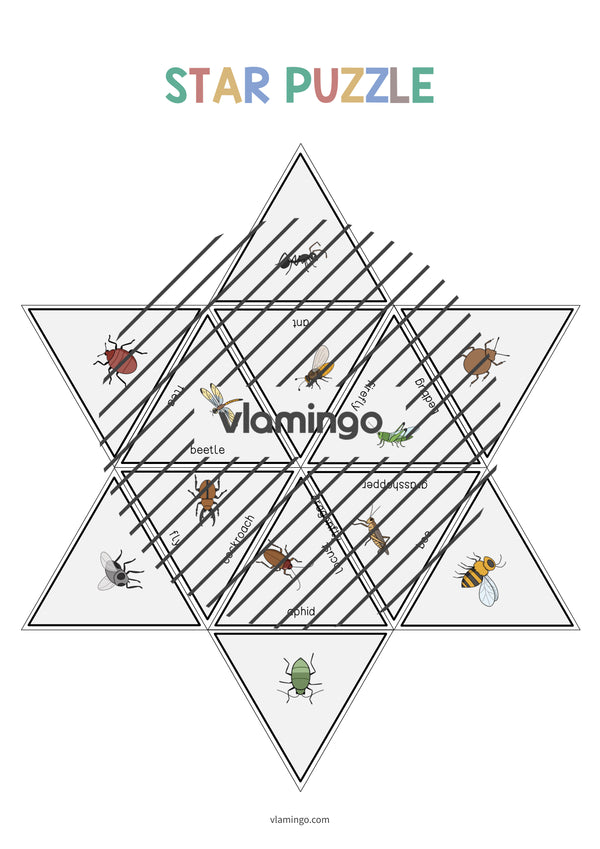 de englisch insects star puzzle 008