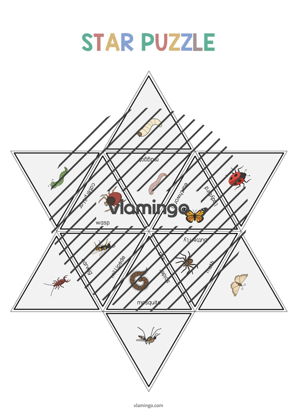 de englisch insects star puzzle 009