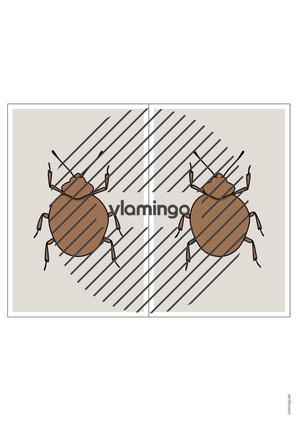 de englisch insects station signs 004