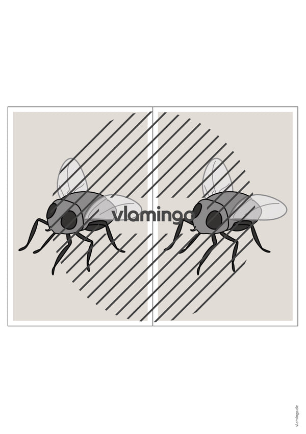 de englisch insects station signs 007