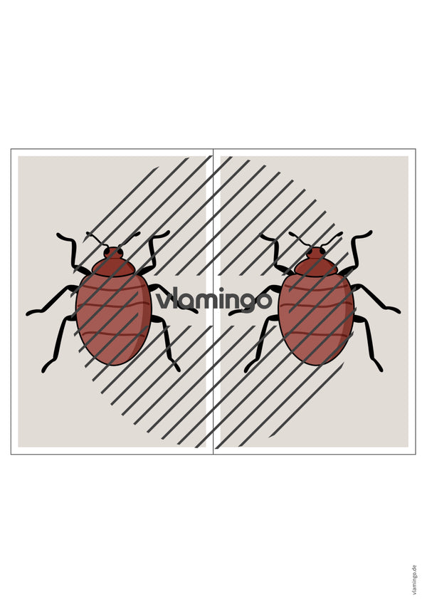 de englisch insects station signs 008