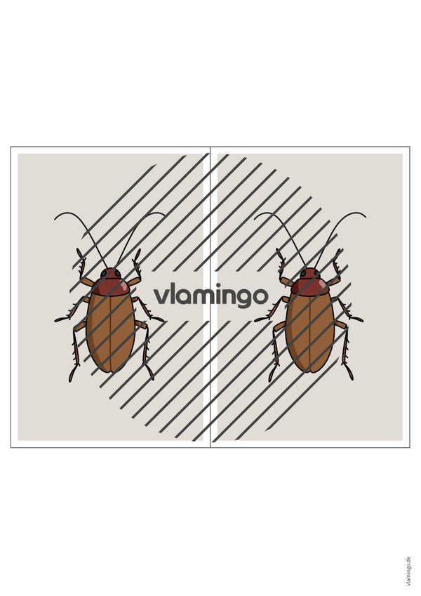de englisch insects station signs 012