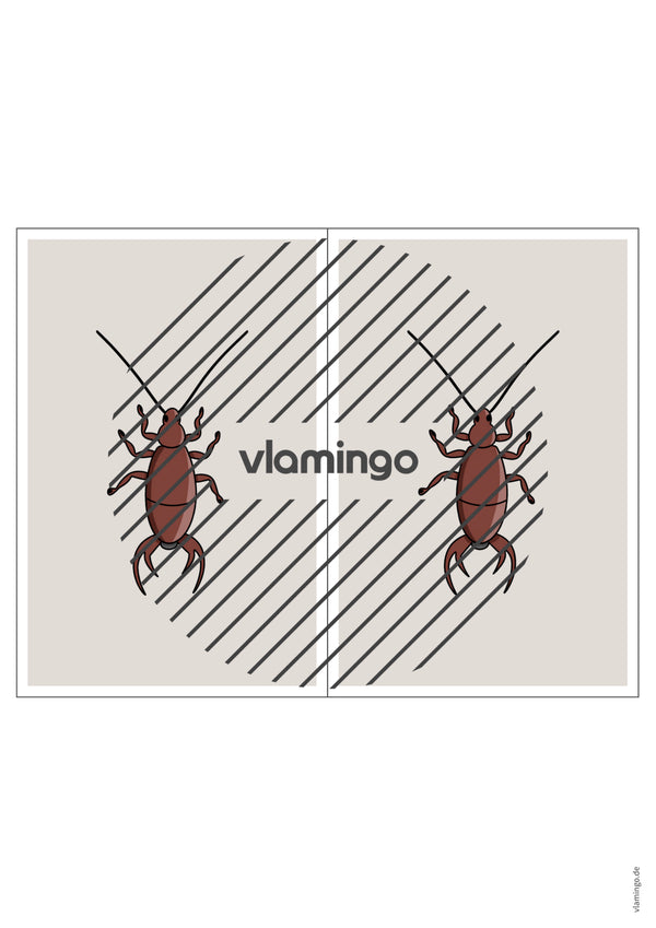 de englisch insects station signs 019