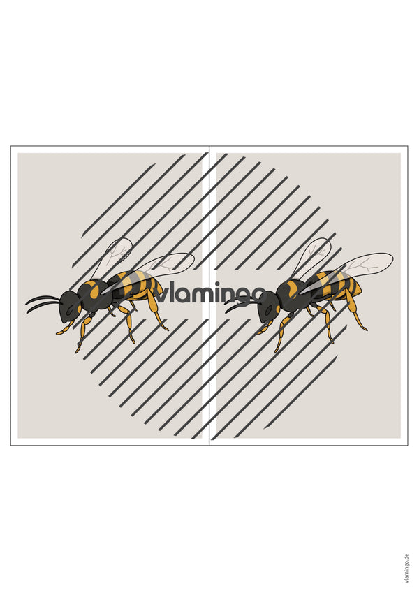 de englisch insects station signs 025