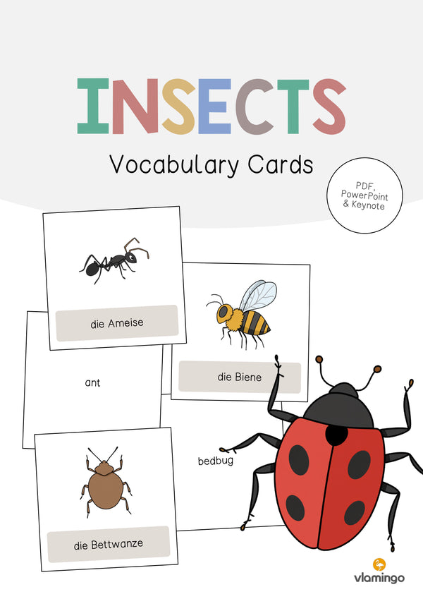 de englisch insects vocabulary cards 001