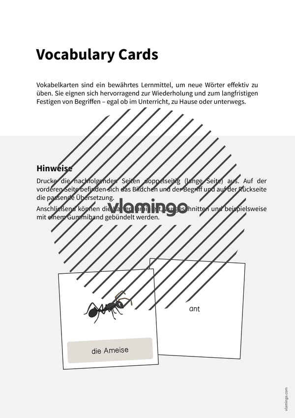 de englisch insects vocabulary cards 002